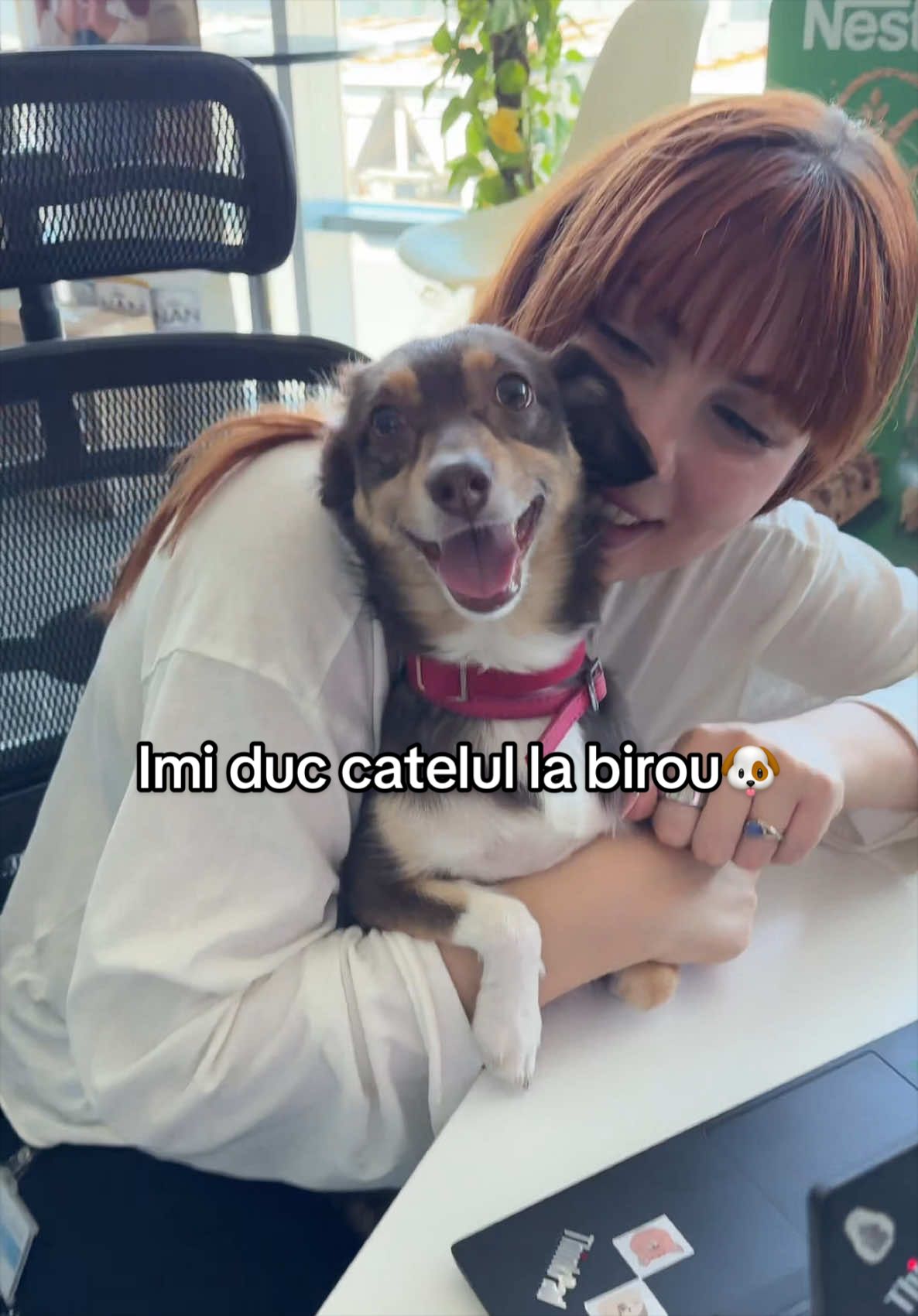 @Lăcră