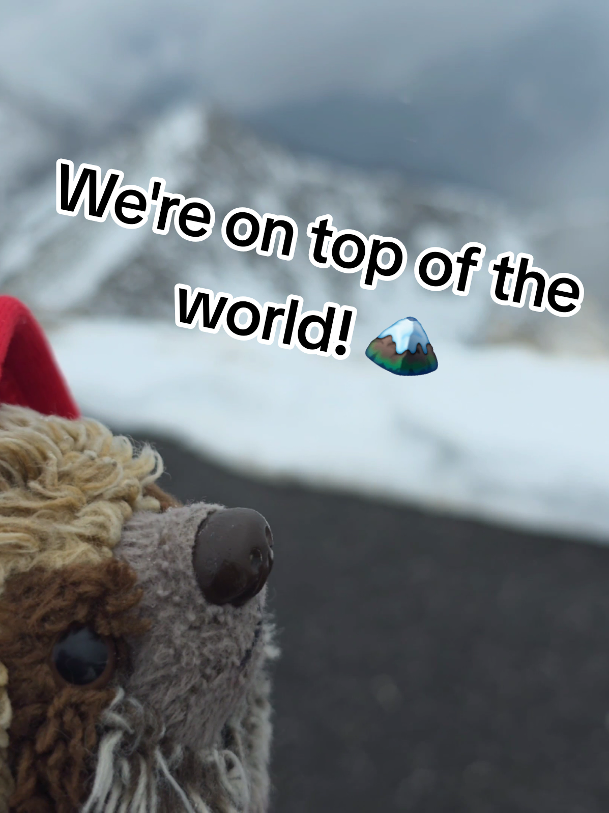 @The Plushie Fam