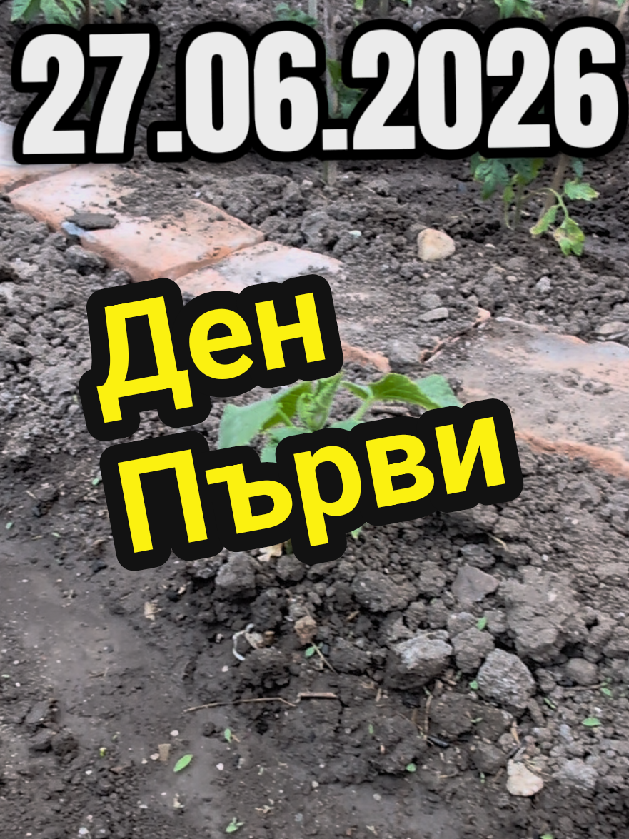 @Valentin B Naumov