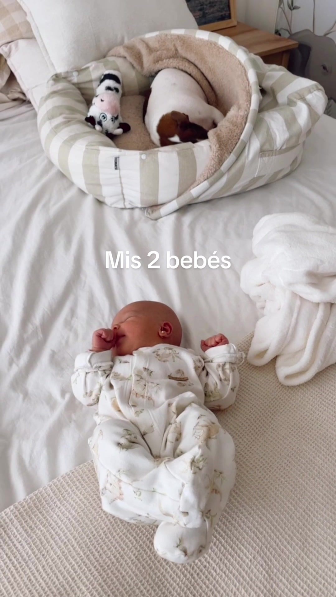 @Maypi delgado