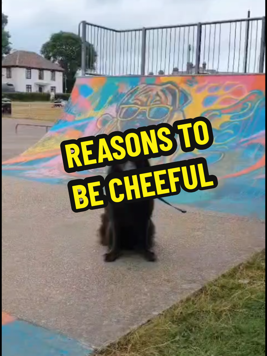 @BERTIEBOOPS & CO