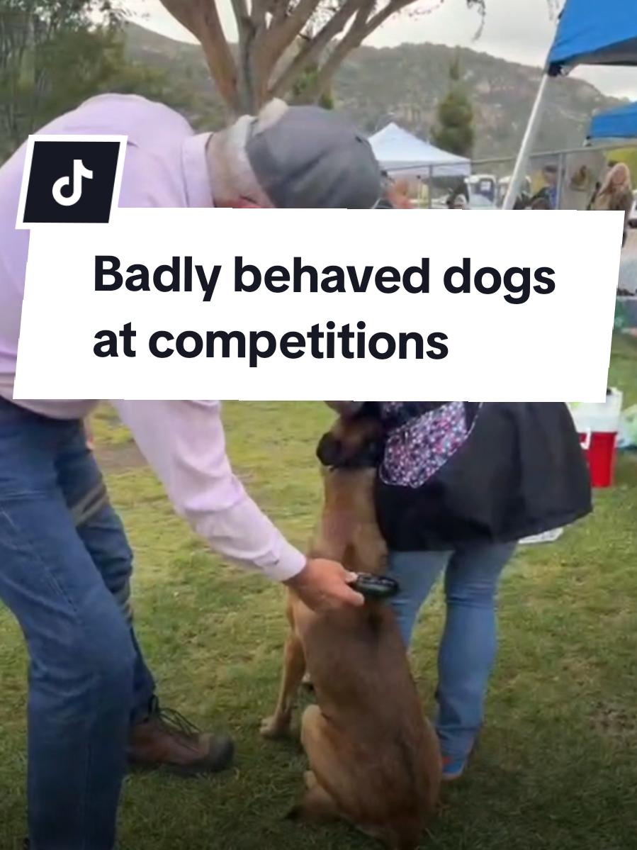 @offbrandgsd