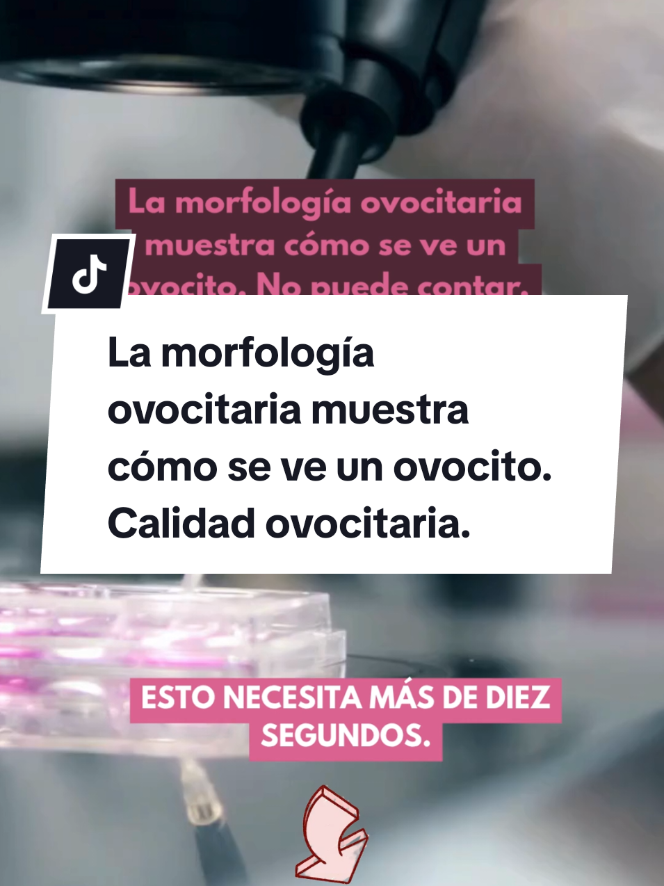 @Karen | Fecundación In Vitro