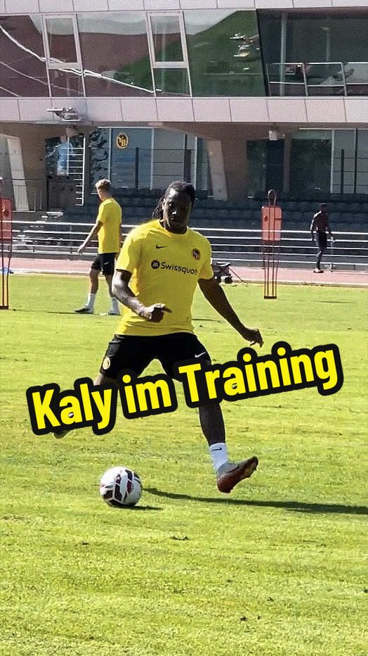 @BSC YOUNG BOYS