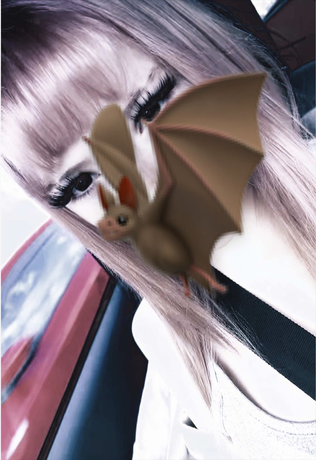 @๐๐ถ๐๐๐ถ๐๐๐
๐ถ๐