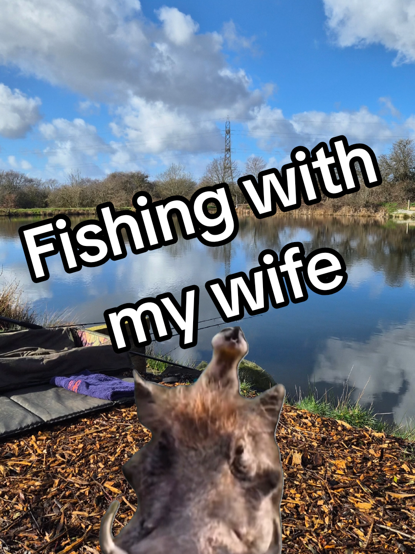 @Fish-To-Forget