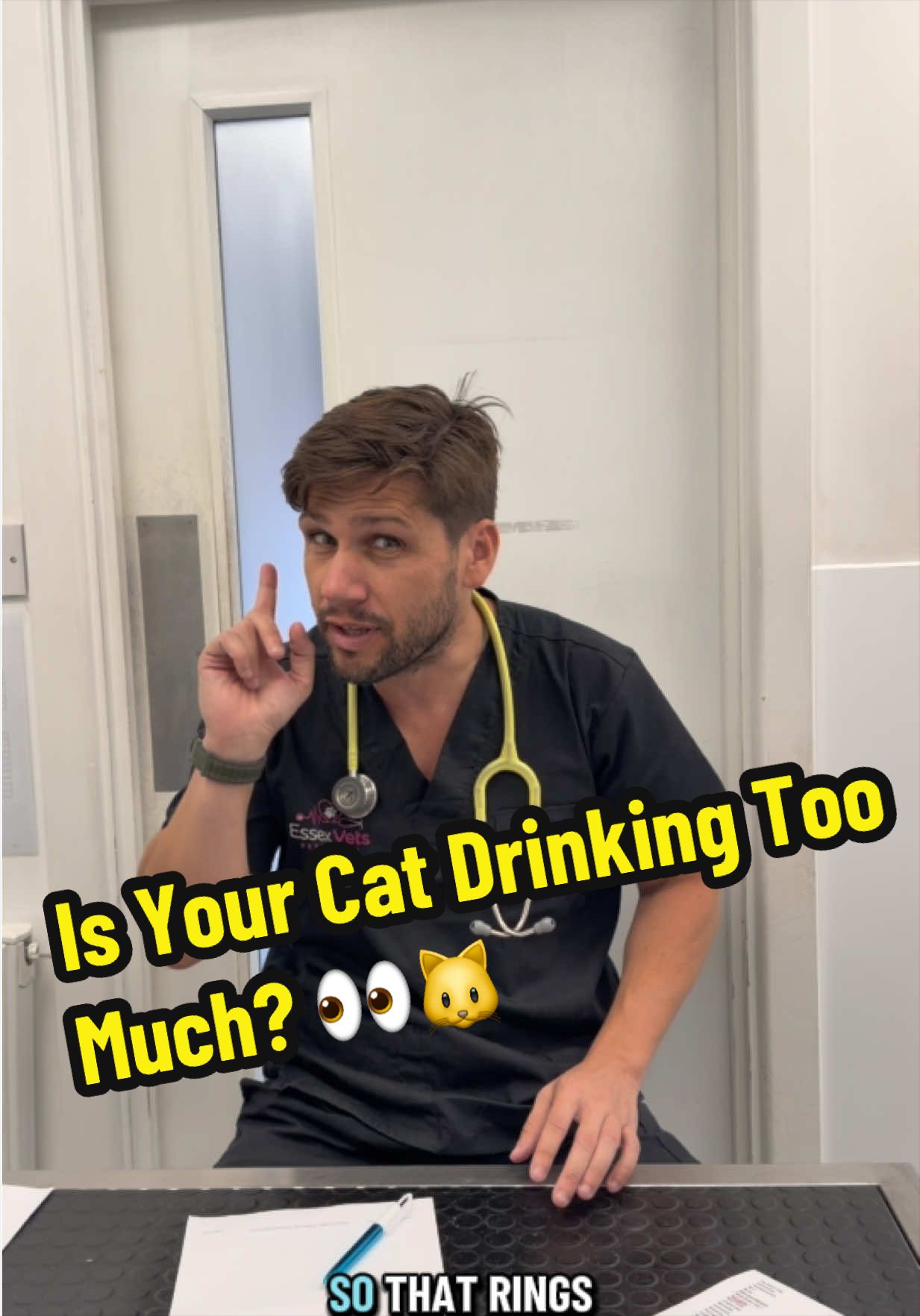 @Tomasthevet