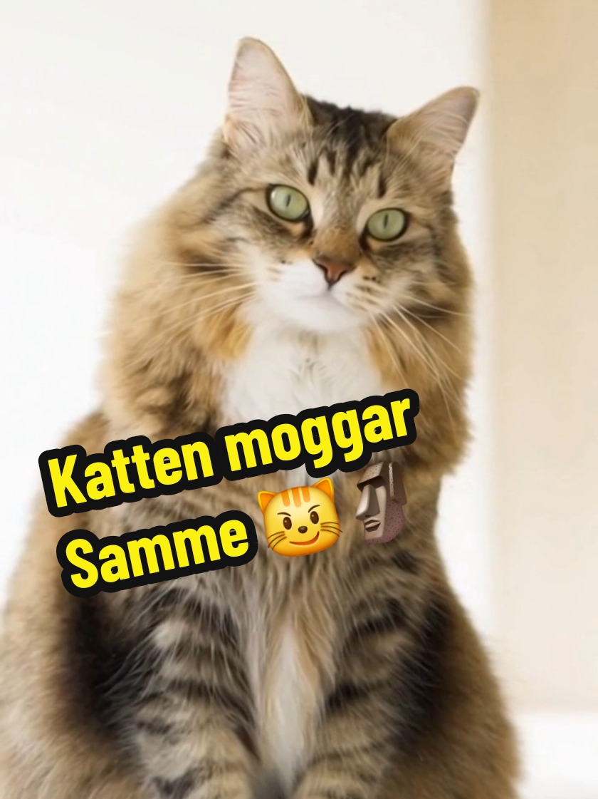 @Samme Pamme