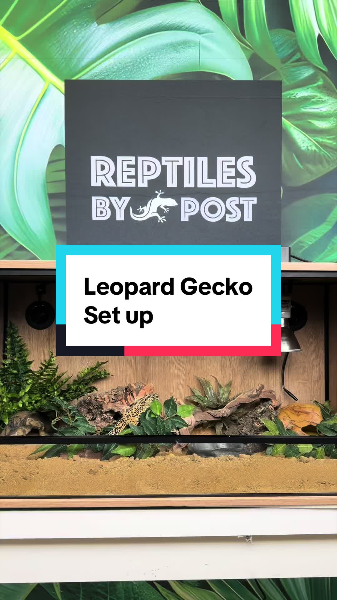 @Reptiles By Post