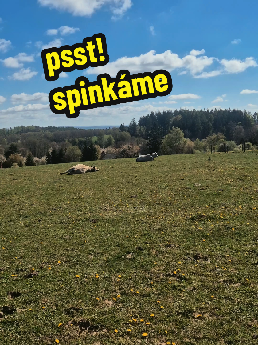 @Ekofarma Holčovice