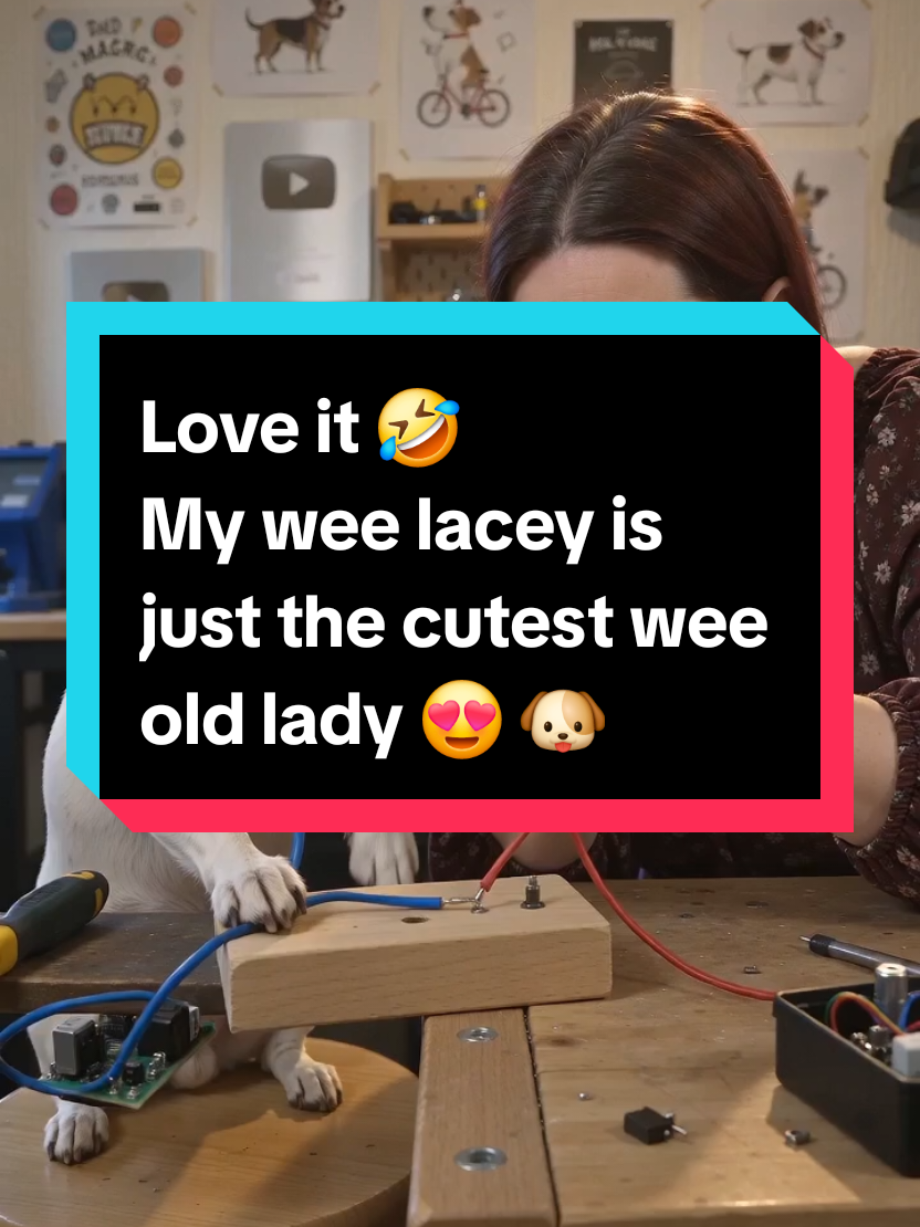 @ScottishGal 🏴🏞🛍