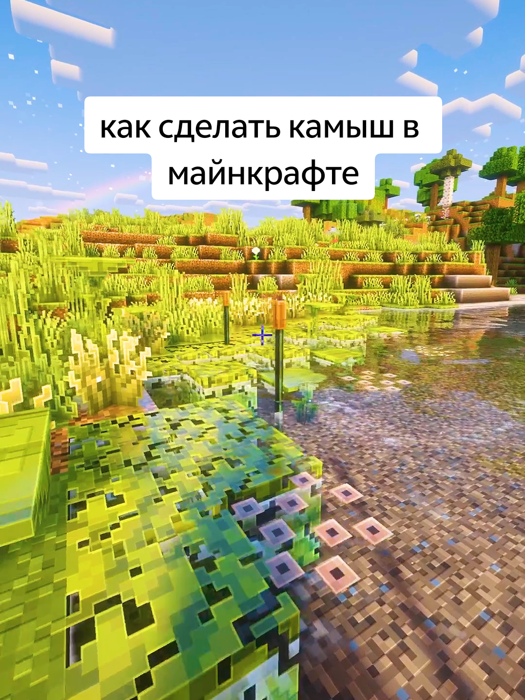 @Мурзик ТяН