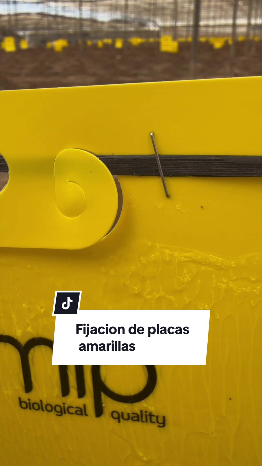 @GermanAgrolife