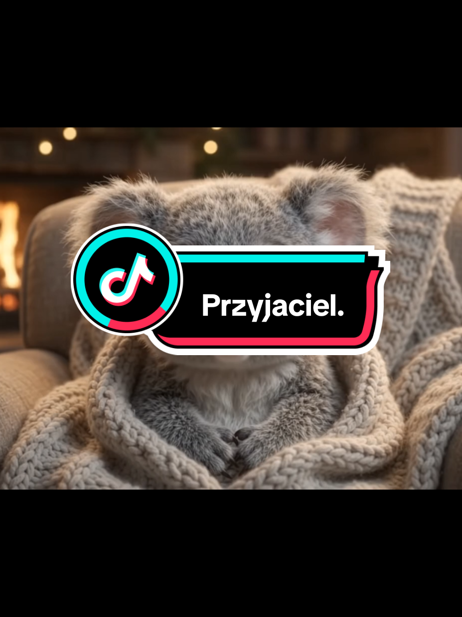 @Wesolutki Koala 🐨 😎