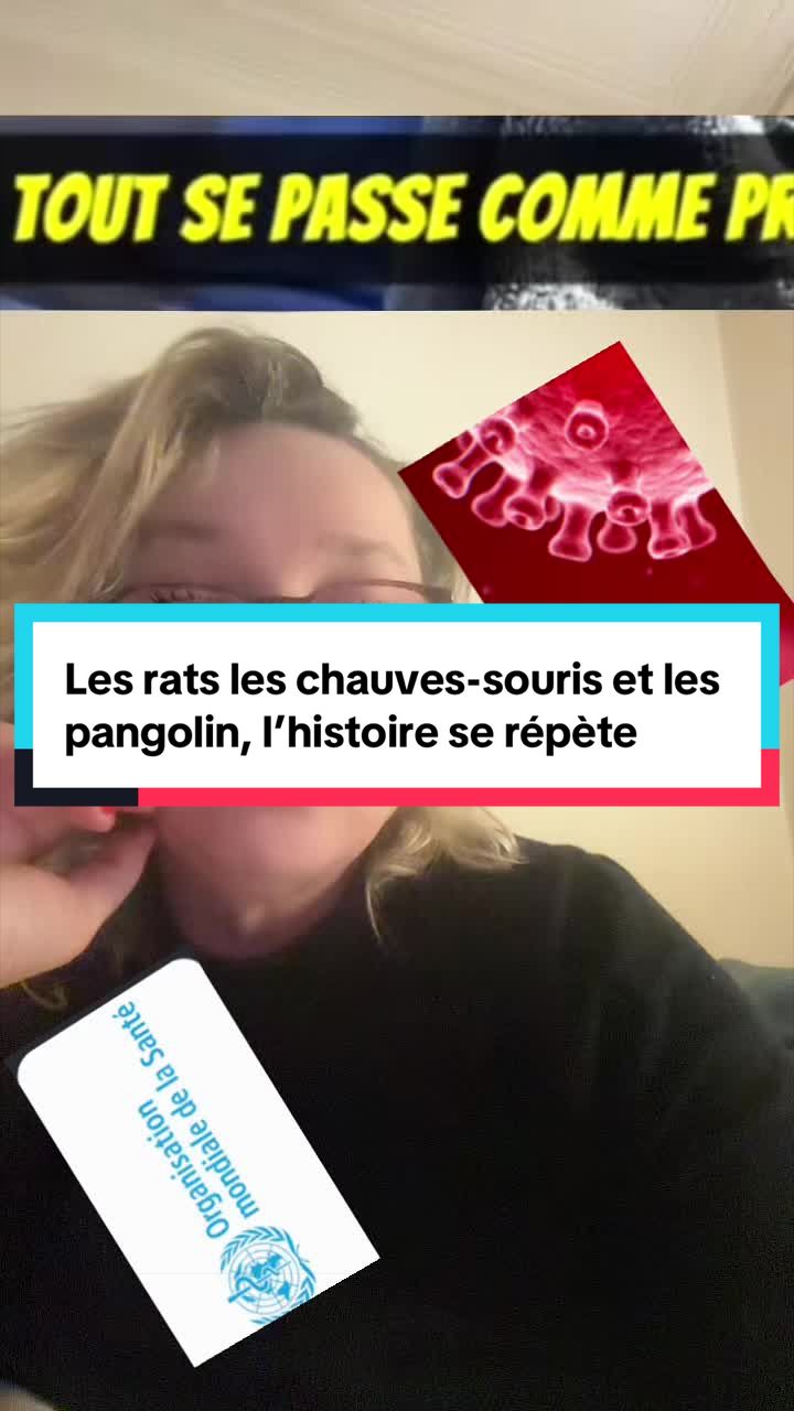 @samizdat2