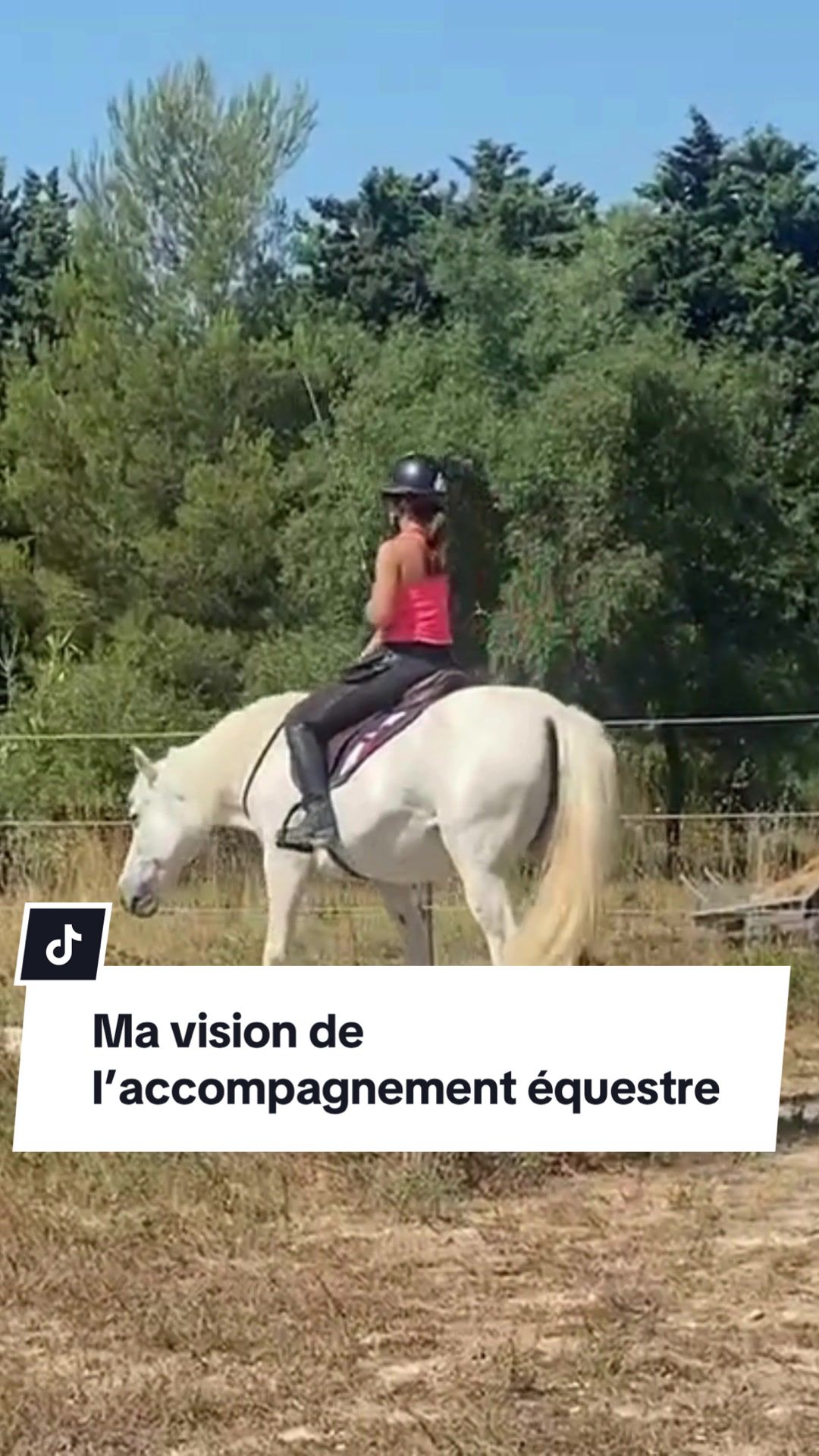 @Horsewoman Trip