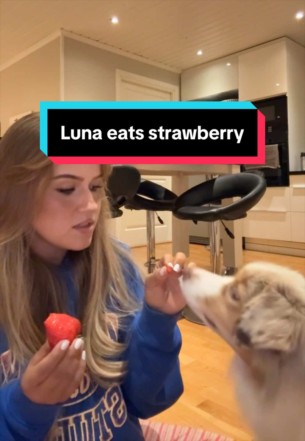 @justelliezen