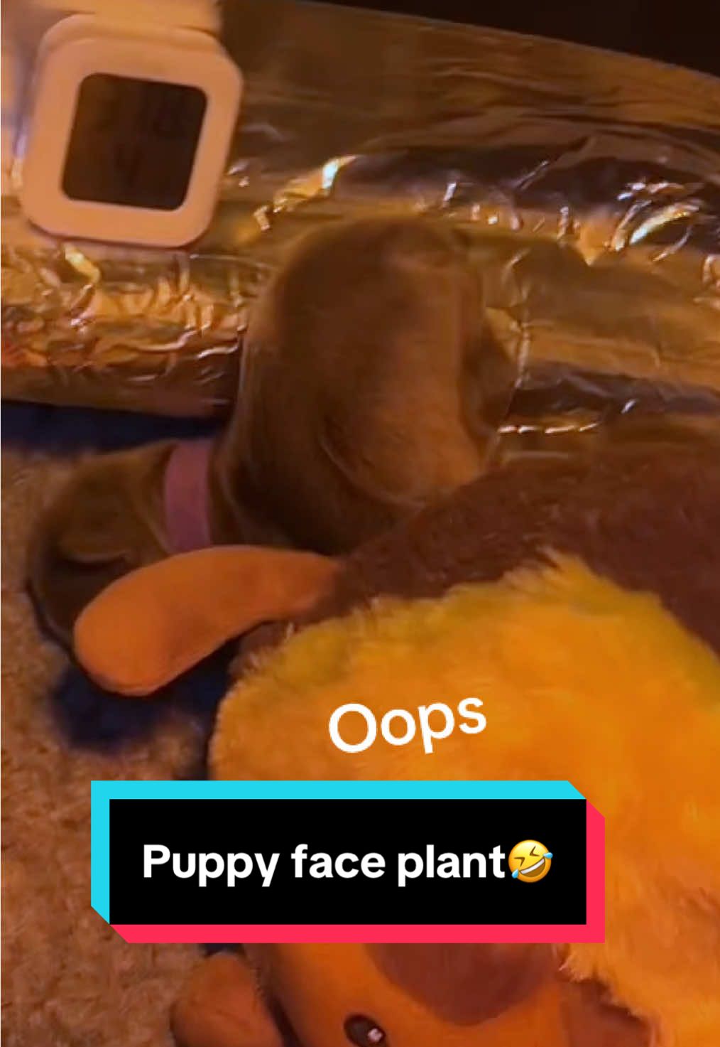 @itscameramandan