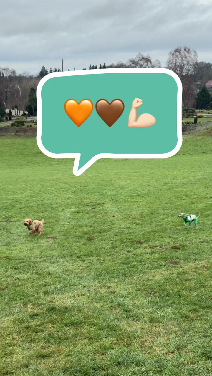@poo.iggy.ontour