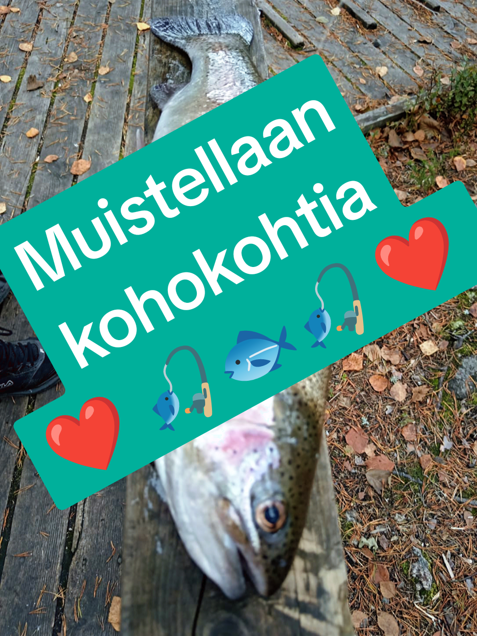 @HessunKireeSiima