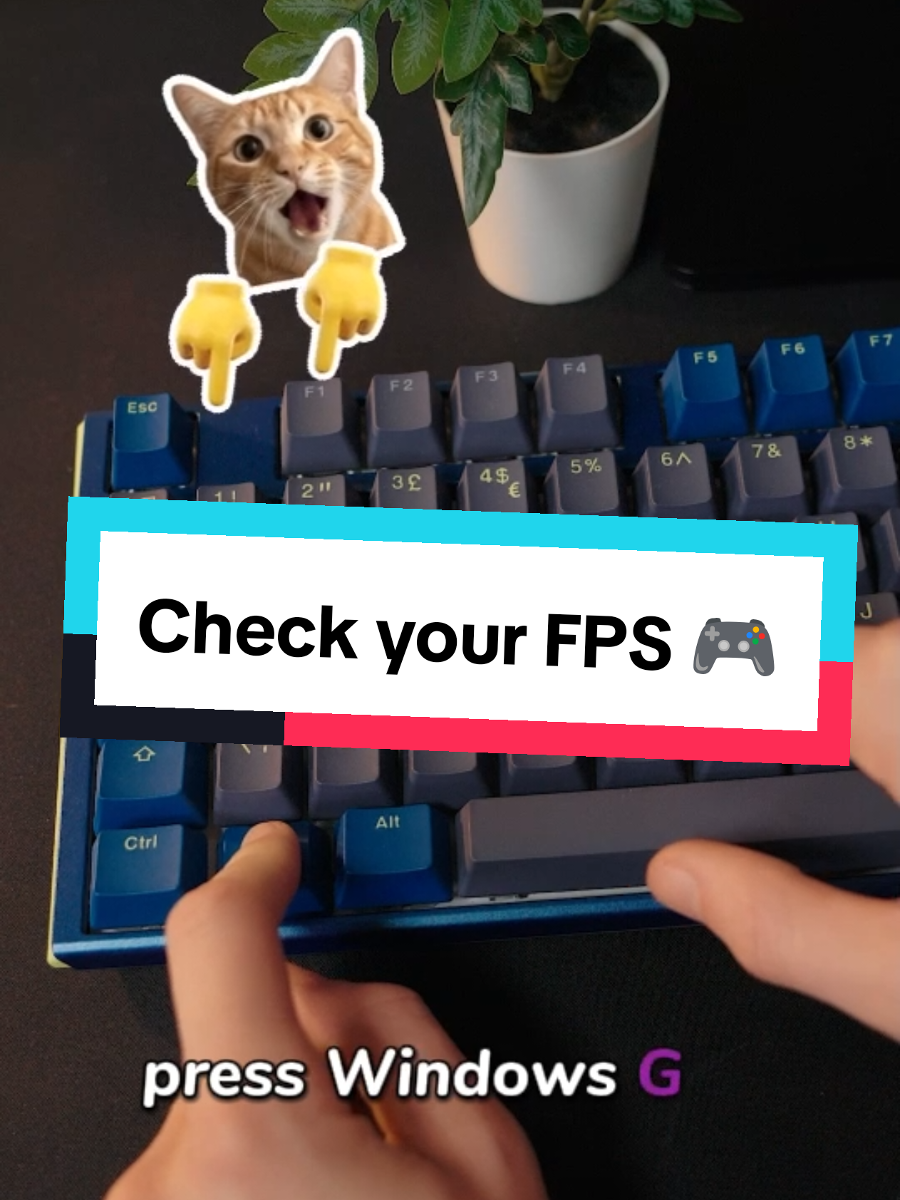 @Overclockers UK