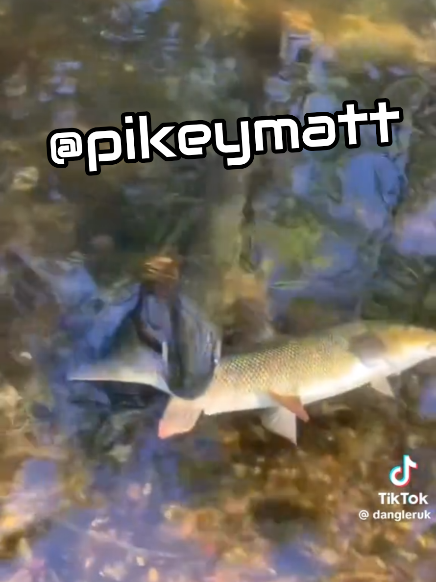 @pikeyMatt