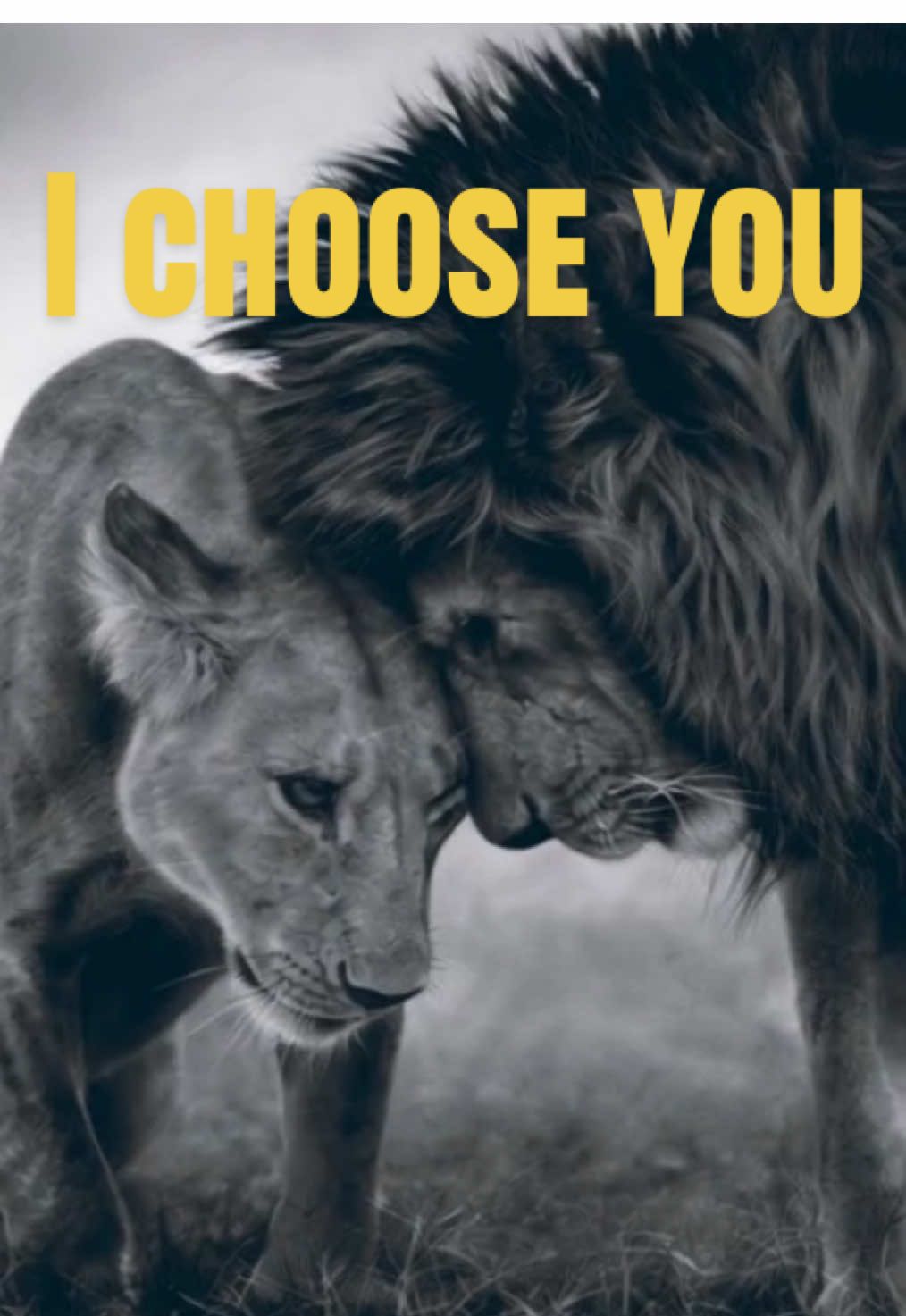 @Rise.and.dominate
