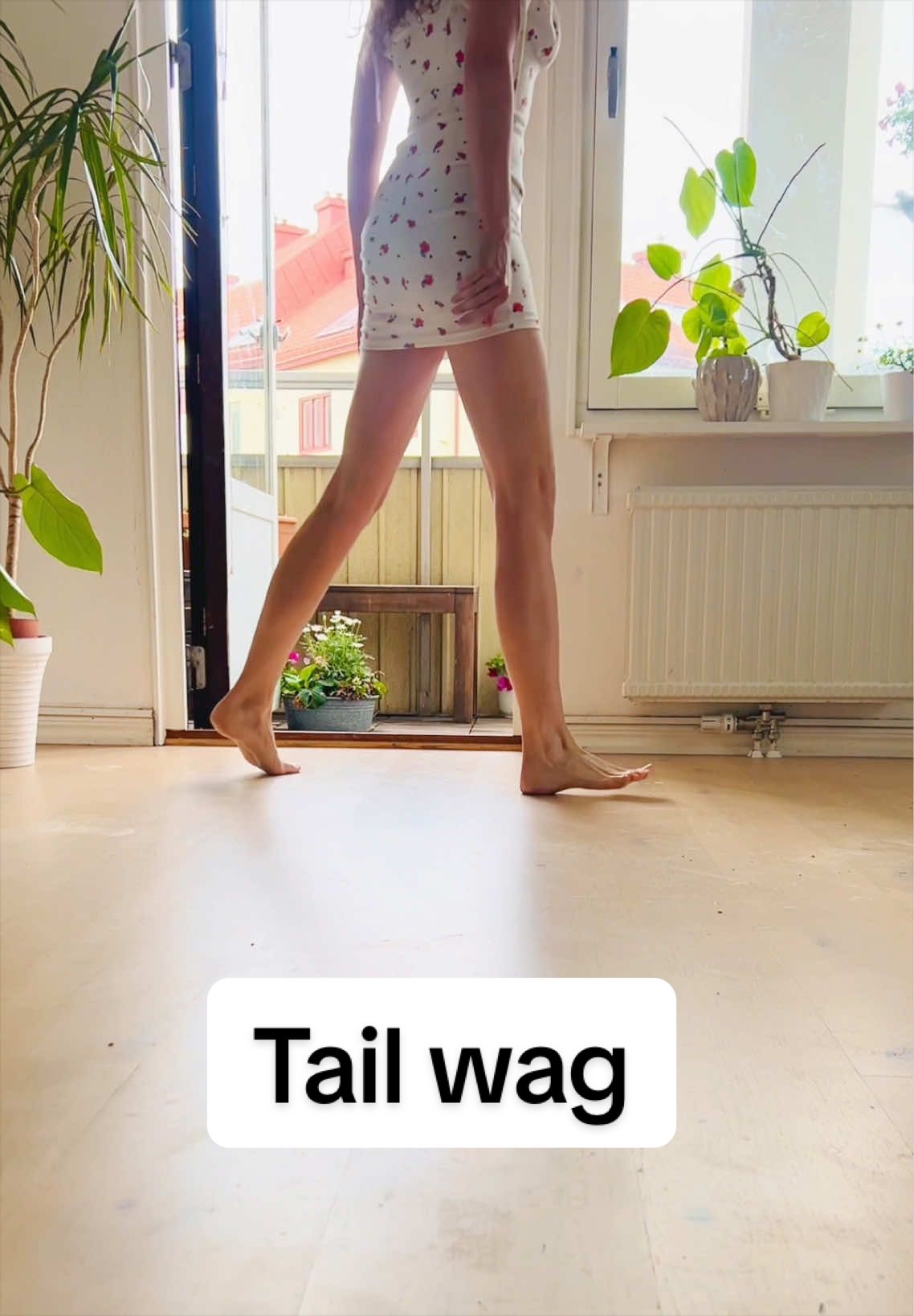 @Winston gull