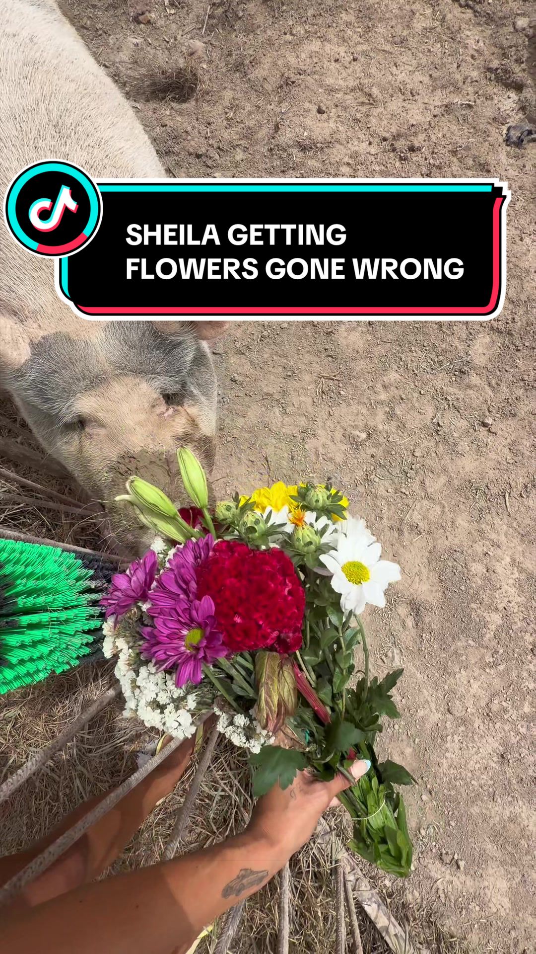 @Stella TzortZi
