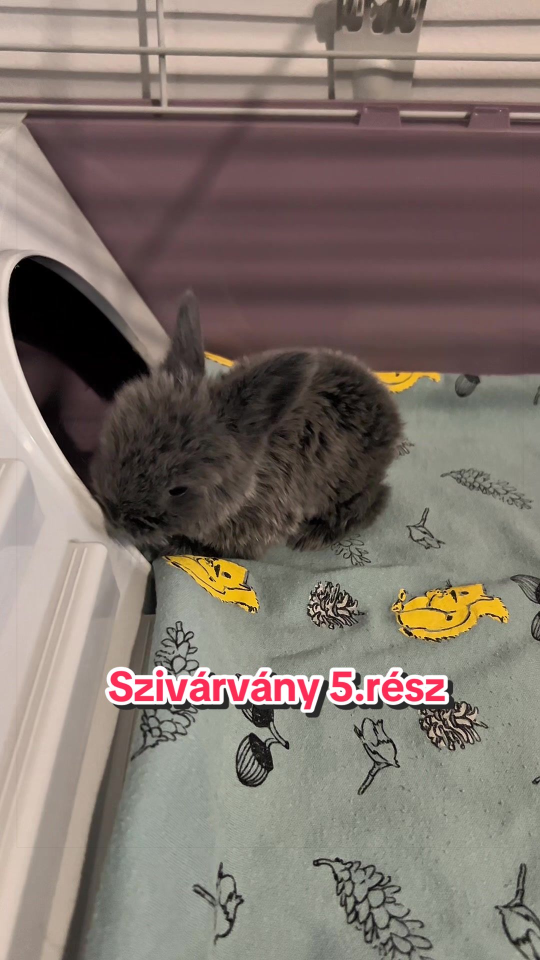 @Némethné Pogrányi Zsuzsanna