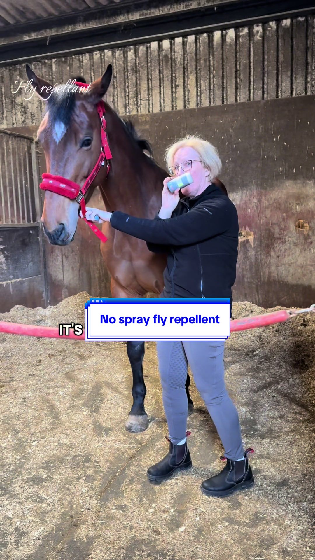 @PipsPonyPicks