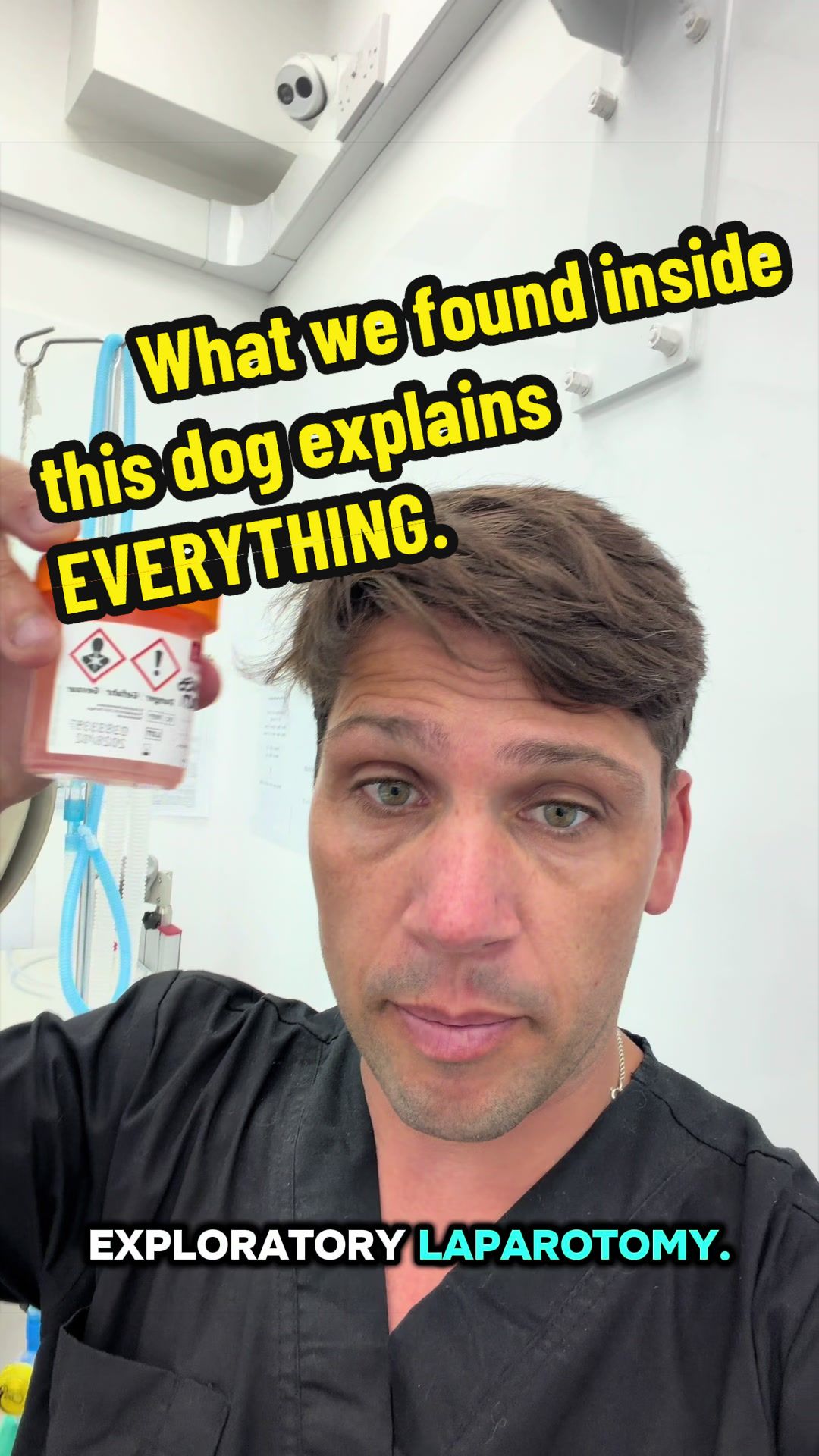 @Tomasthevet
