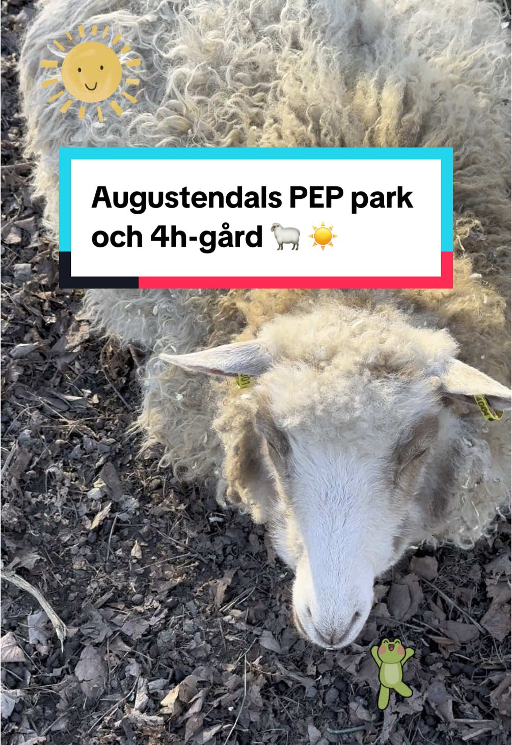 @Familjeutflykter ☀️