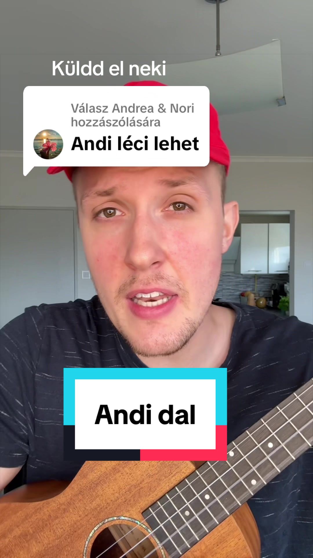 @Pál Péter