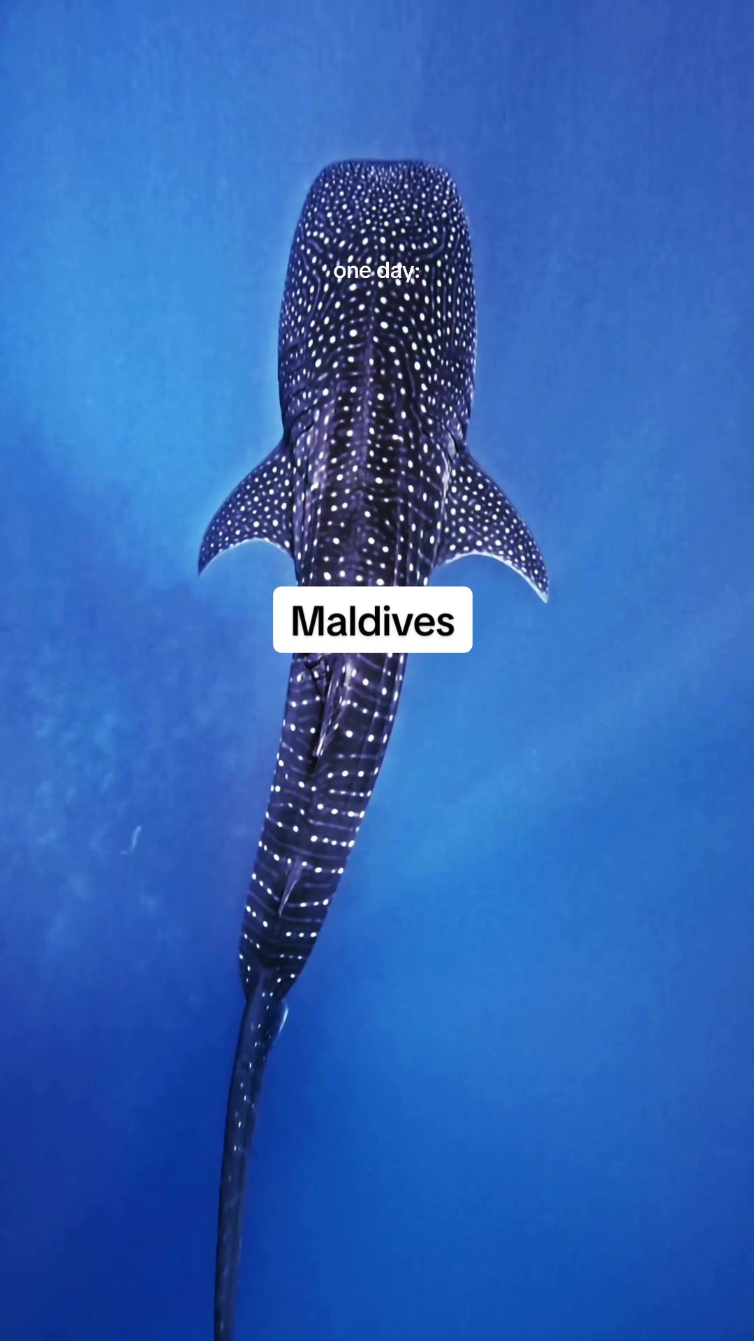 @Nada | Travel