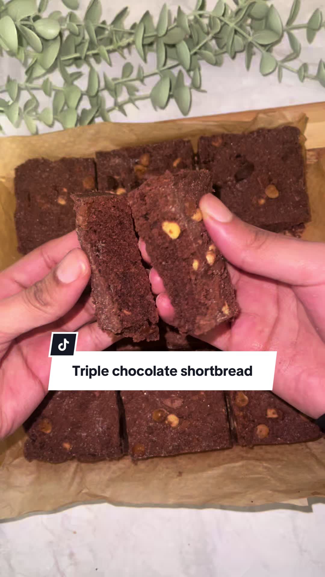 @little_lifestyle_