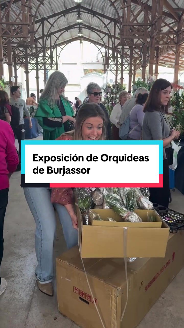 @🌱 En Abril Hojas Mil 🌱