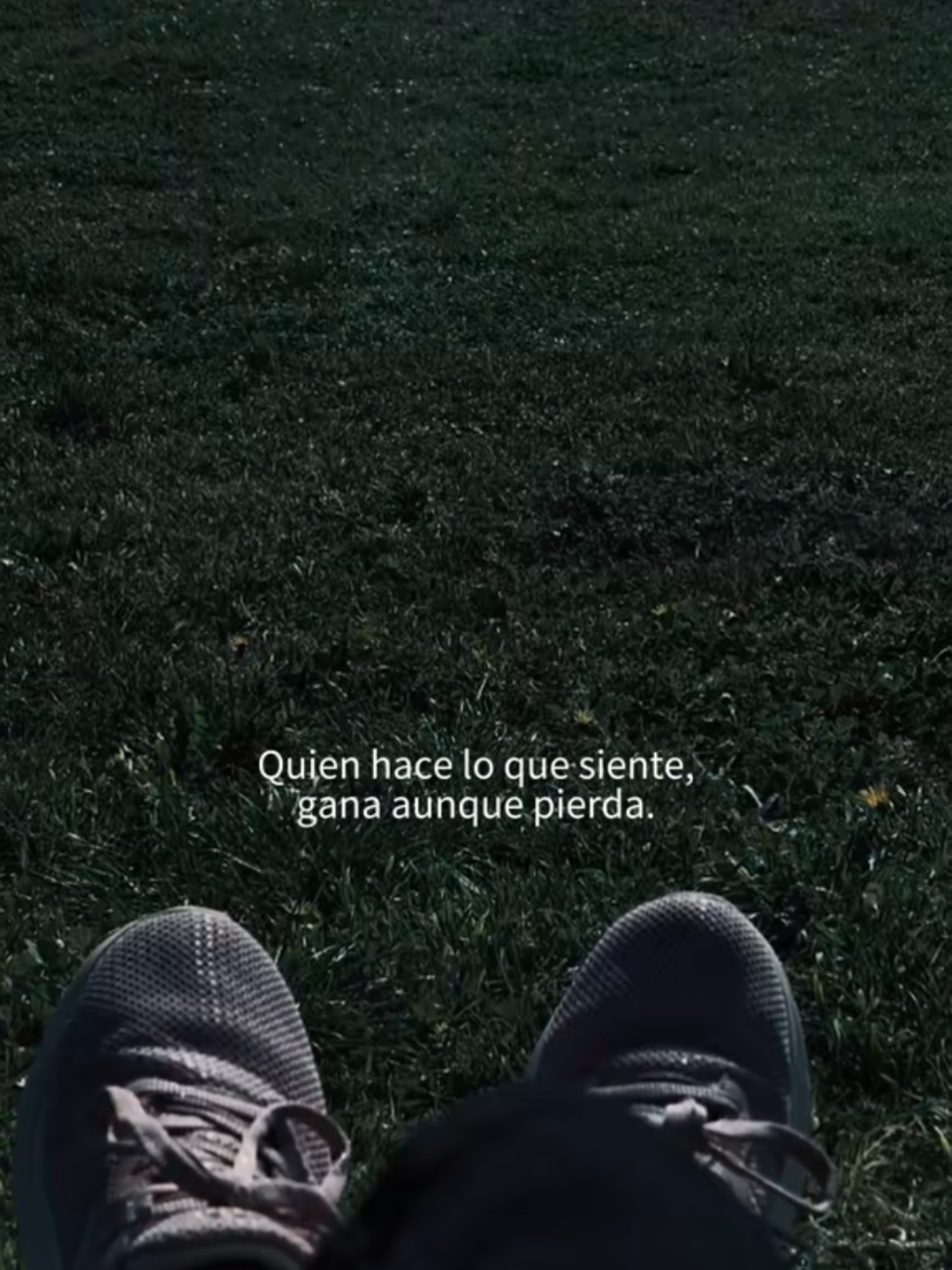 @Kaspi78 Yolanda