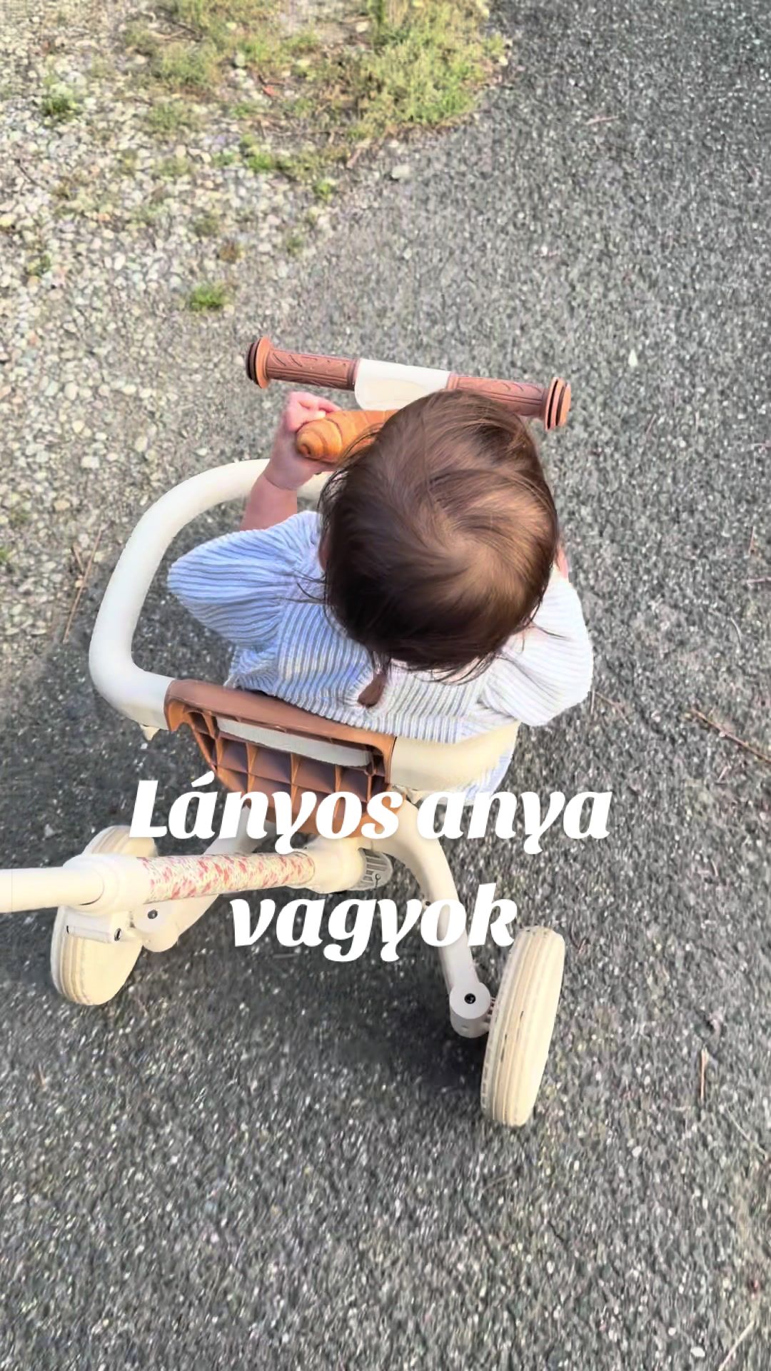 @Varga-Koloszár Enikő