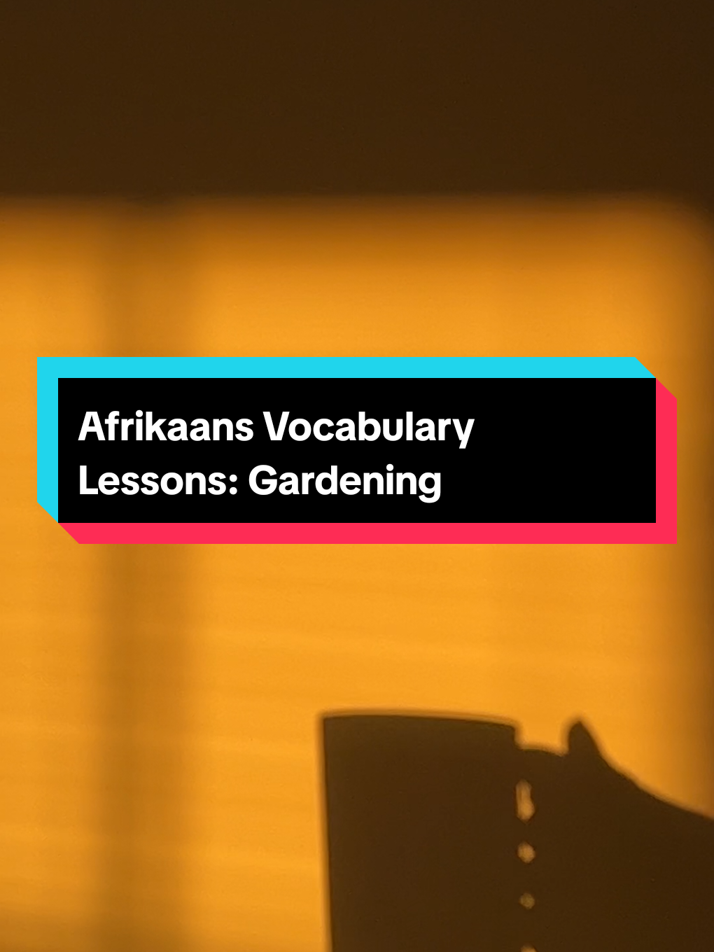 @Let's Learn Afrikaans