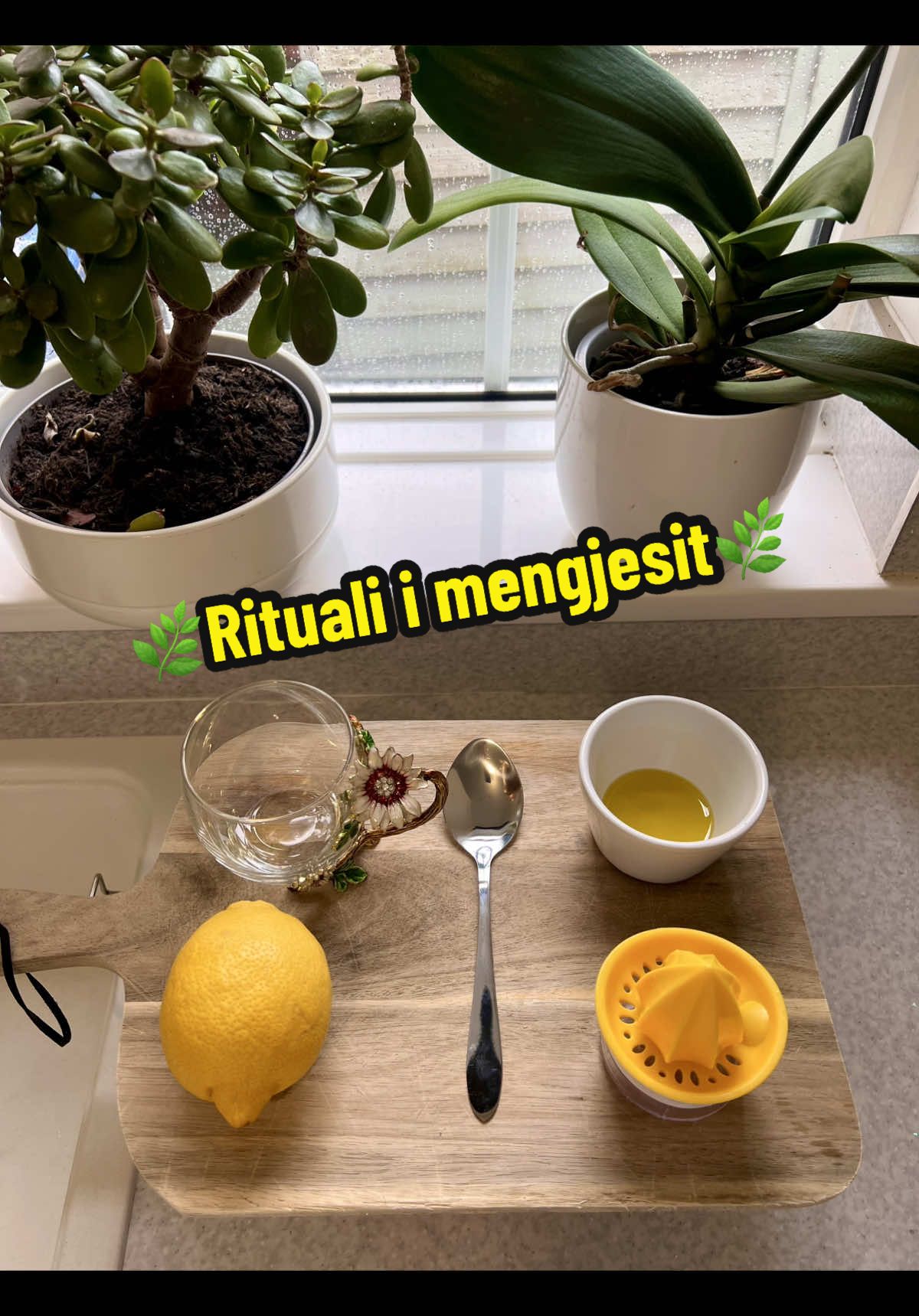 @🌿𝒟𝓇𝓊𝓇𝒾 𝒾 𝒿𝑒𝓉𝑒𝓈🌿