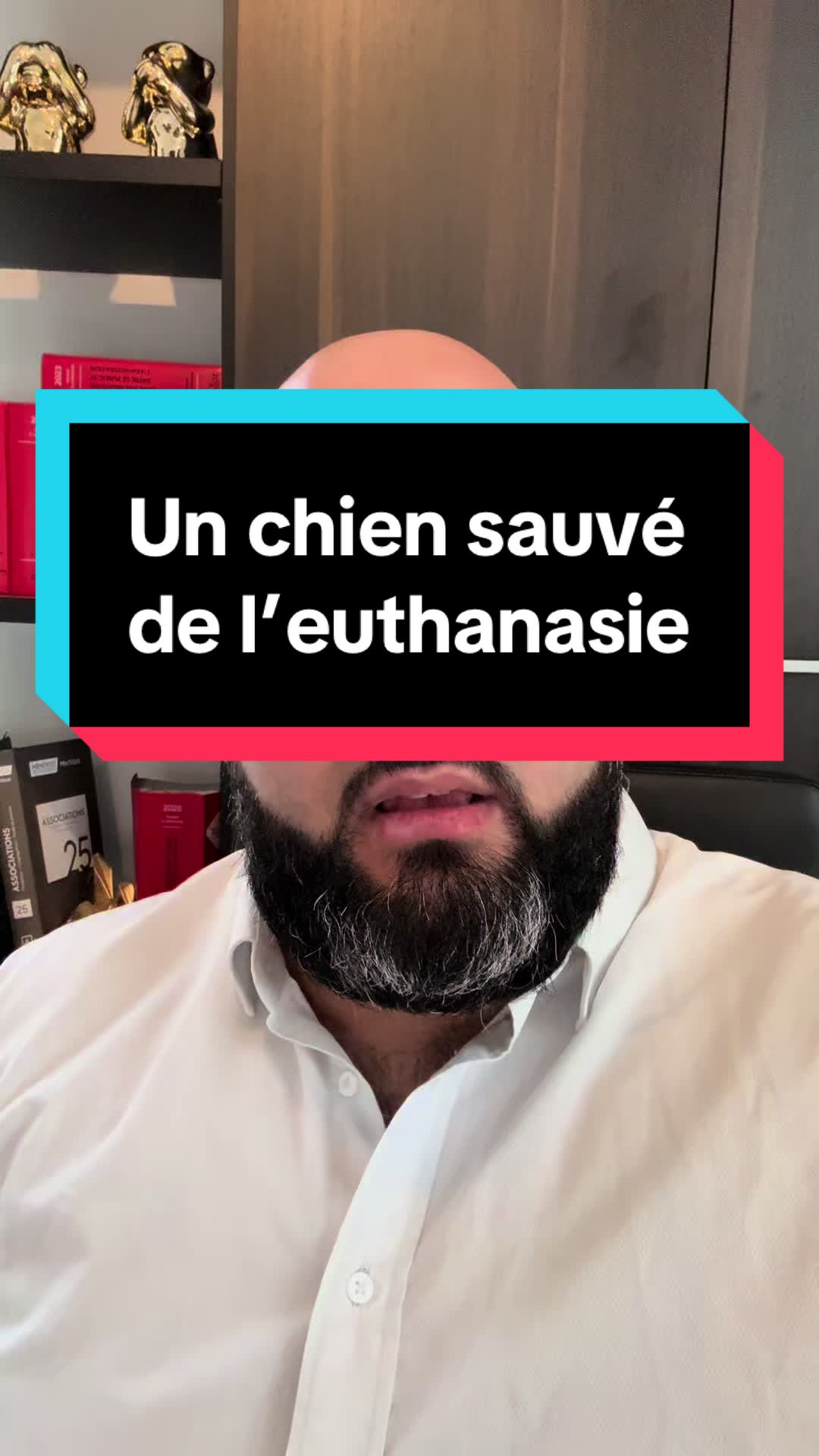 @R&eacute;my Dandan - Avocat
