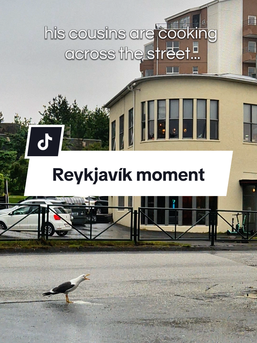 @Ragnhildur J&oacute;hanns