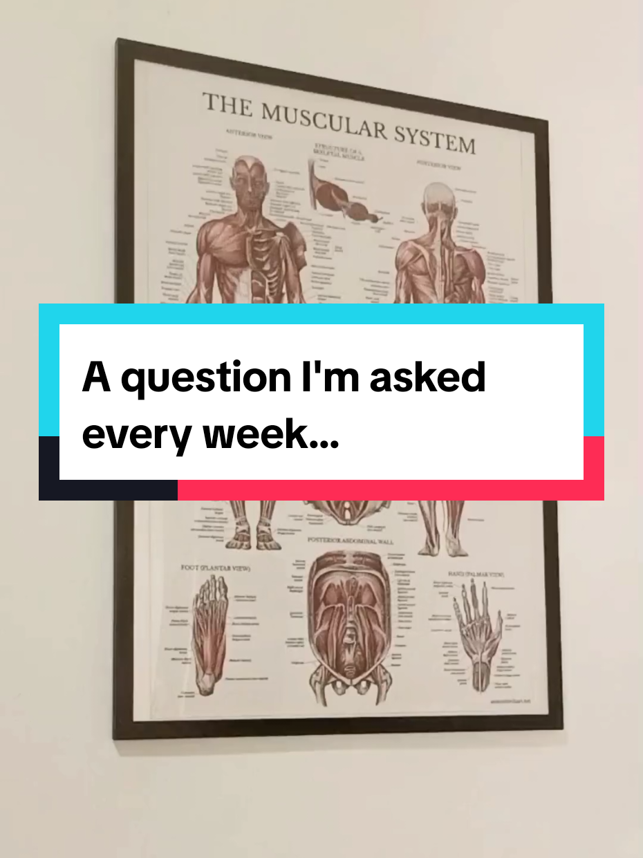 @the-massage-therapist