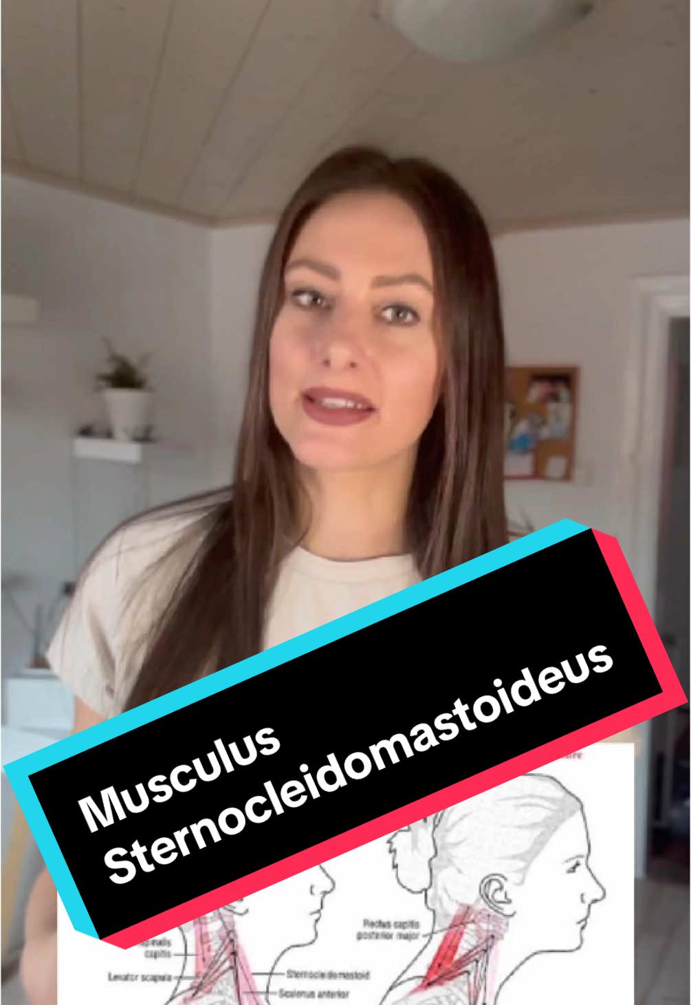 @physiofitt_aniko