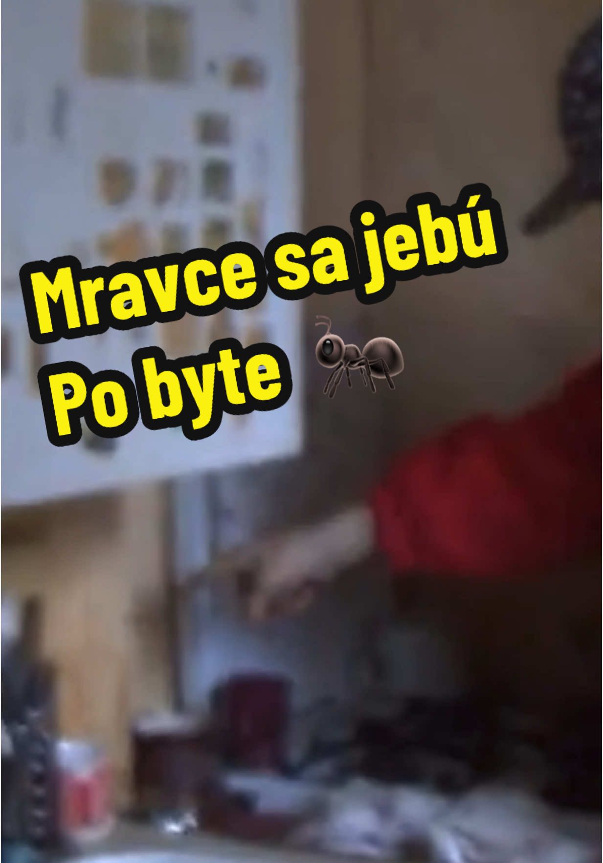 @marcelito_