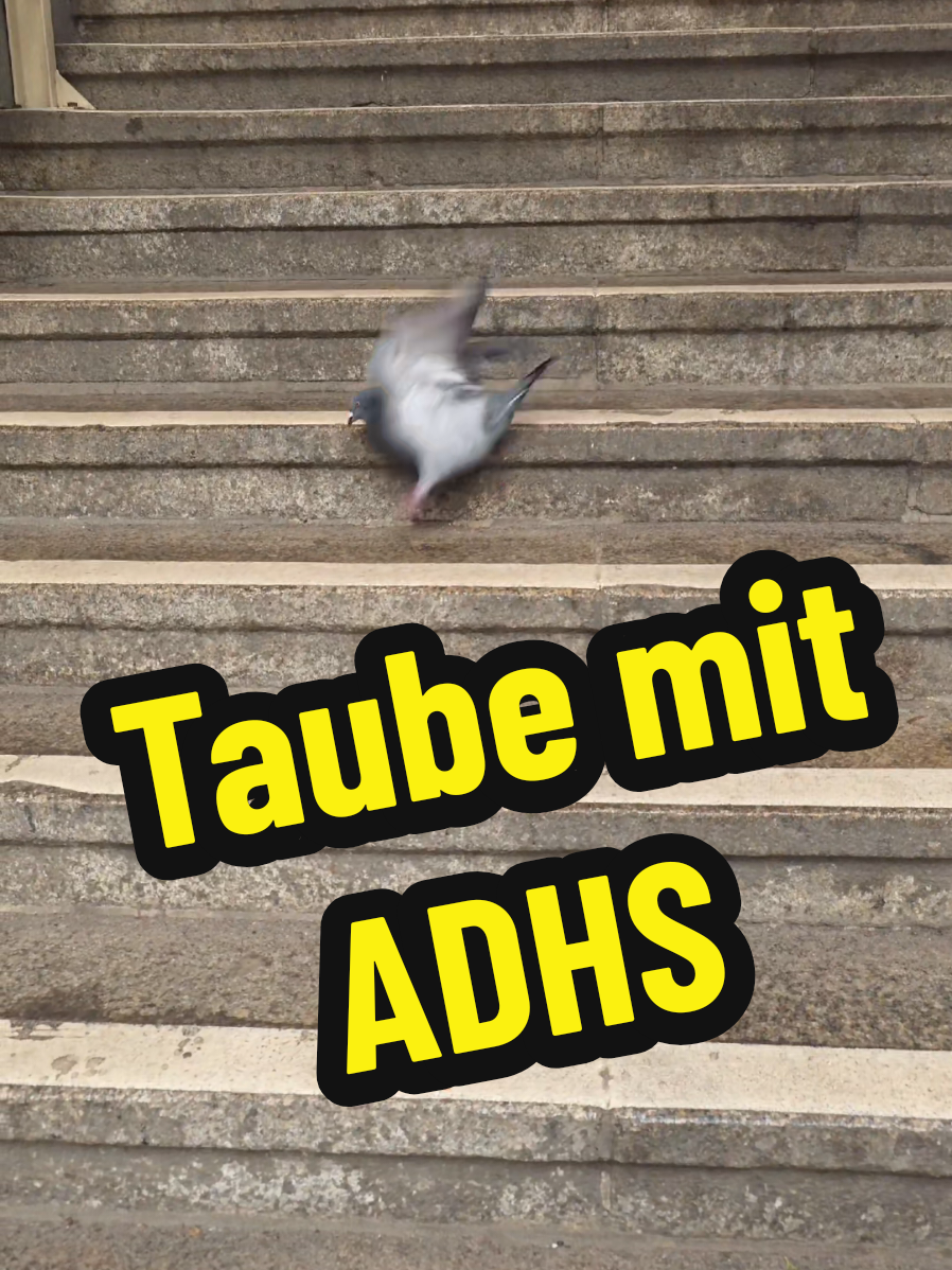 @Jawoll Schmiddy