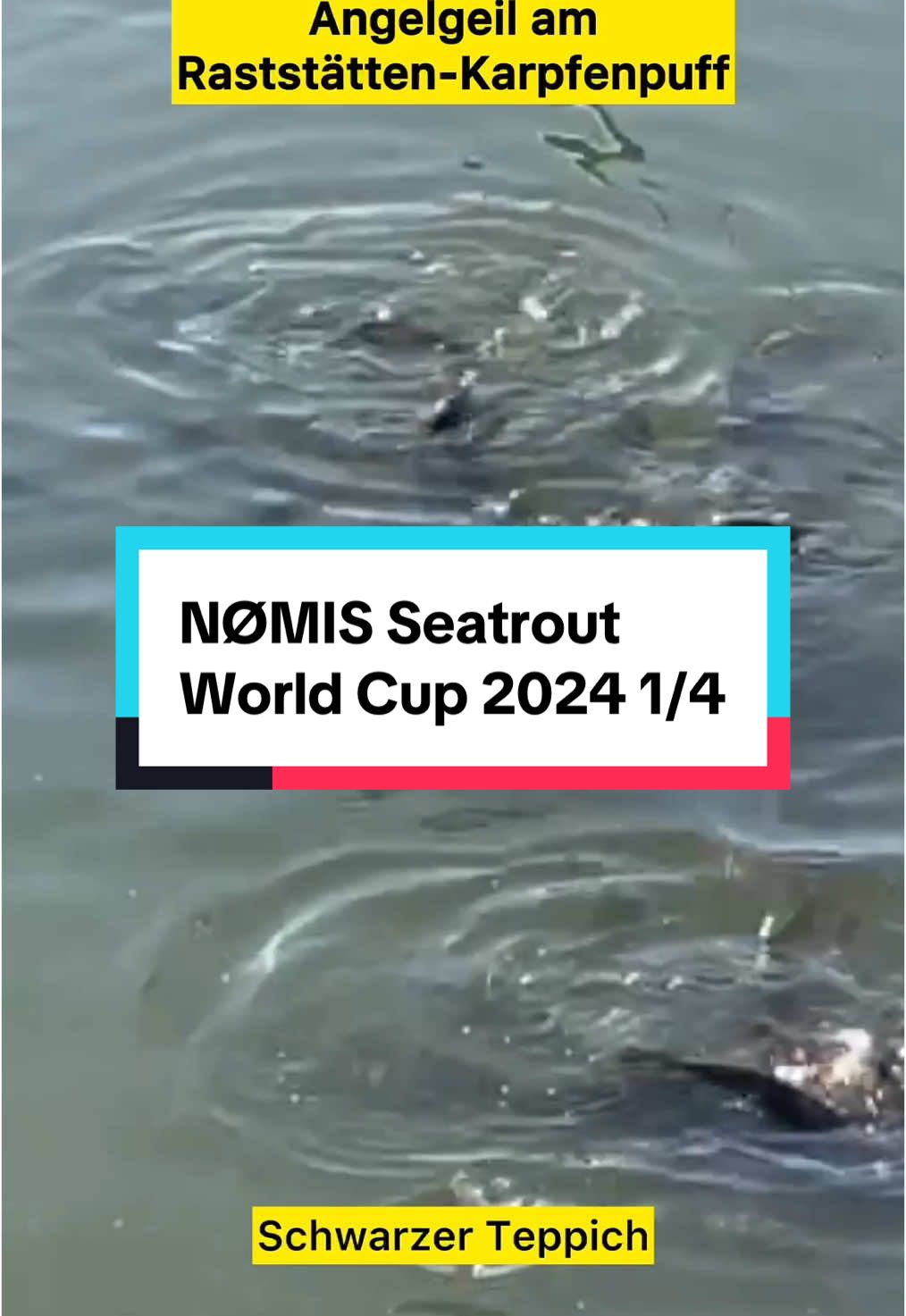 @NØMIS Fishing