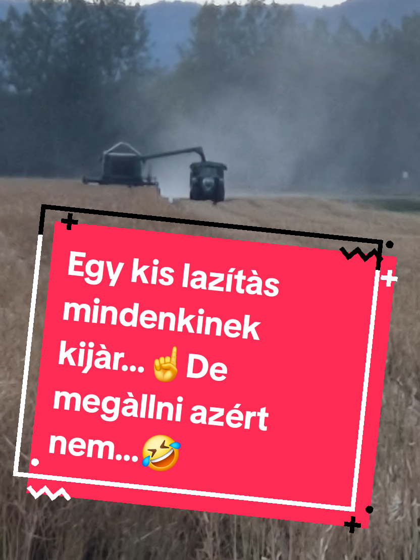 @Hal&aacute;pi Roland