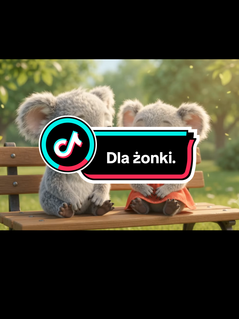 @Wesolutki Koala 🐨 😎